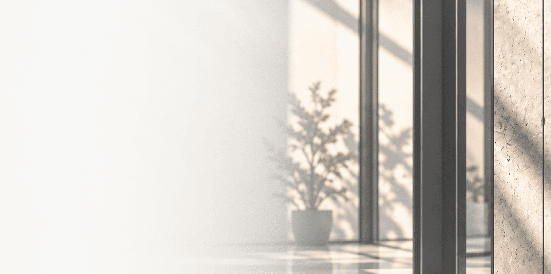 Sunlit office window wall with a potted plant casting a soft shadow